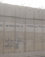 Le lingue delle scritture murarie
